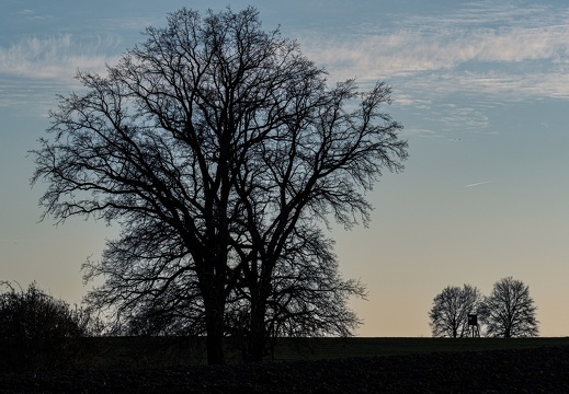 Landleben